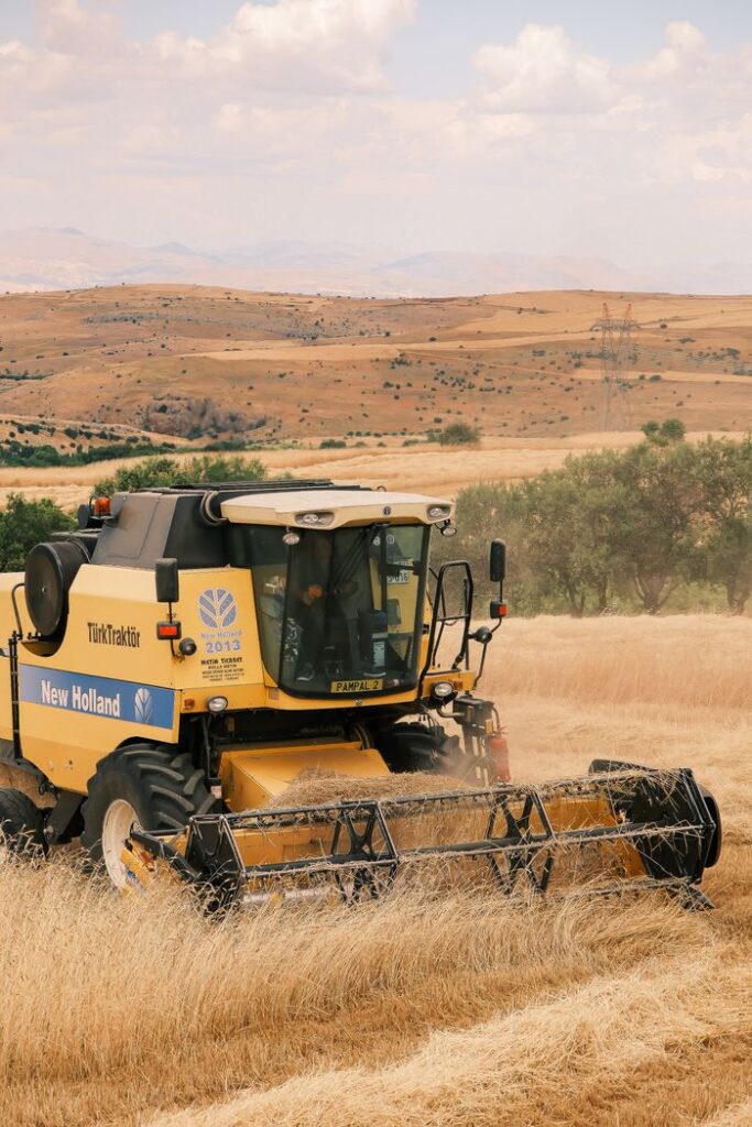 Combine harvester in a wheat field in Türkiye showcasing modern agriculture machinery