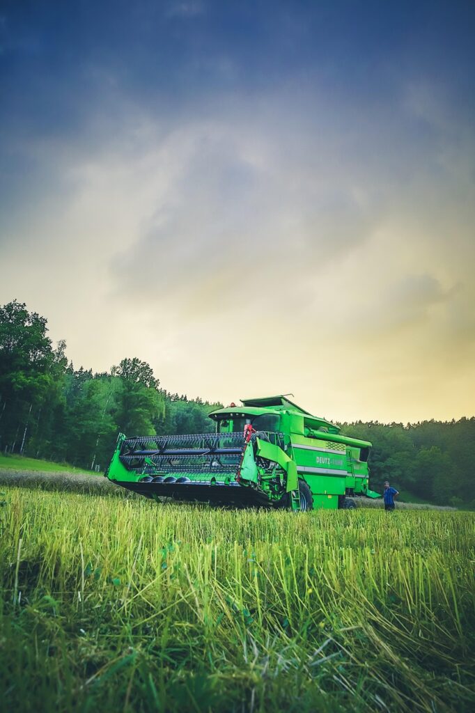 combine harvester, threshing, agriculture, oilseed rape, grain, nature, field, landscape, harvest, fields, food, scenic, summer, healthy, august, ripe, farmer, cornfield, combine harvester, combine harvester, combine harvester, combine harvester, combine harvester