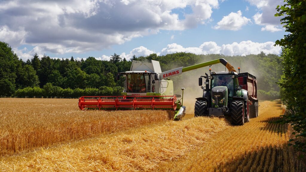 Combine harvesting wheat in Geesthacht, Germany under a sunny sky